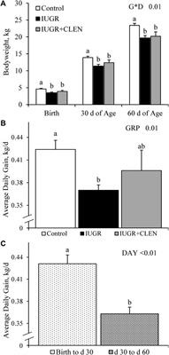 Daily injection of the β2 adrenergic agonist clenbuterol improved poor muscle growth and body composition in lambs following heat stress-induced intrauterine growth restriction